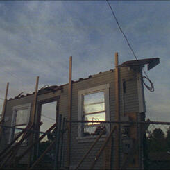 understory (still frame) 