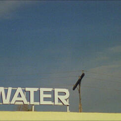 understory (still frame) 