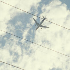 understory (still frame) 