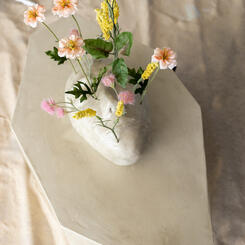 Day-dreaming for Another World 