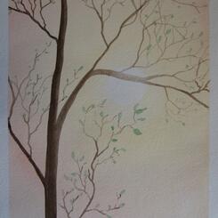 watercolor tree study, spring