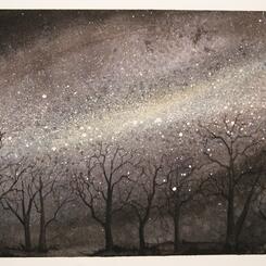 watercolor tree study, starlight