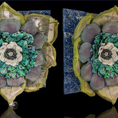 Gateau d'Jade, Sonoma