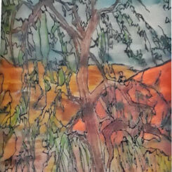 Appalachian trail.jpg