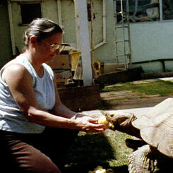 Only a Turtle Still 2.jpg