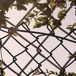 Those Who Trespass 1.jpg