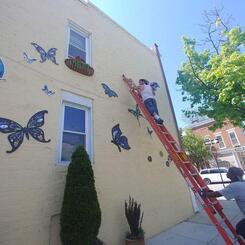 Harwood Butterfly Install 2017