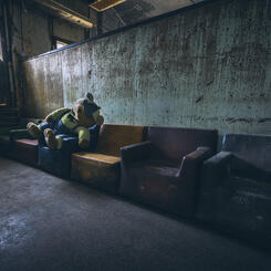 Teddy in Waiting Room