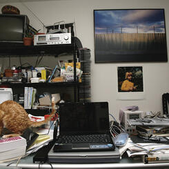 Alberto Gaitan, Artist