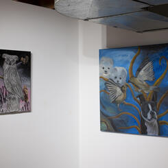 Exhibition Installation Image