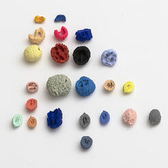 natural color (detail)