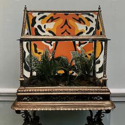 tiger and terrarium