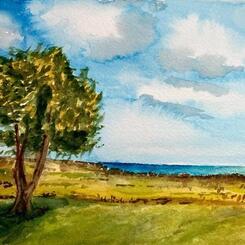 A Lone Tree  7x10