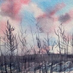  Lake Roland Winter Afternoon