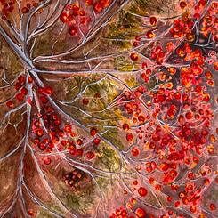  Red Berries Watercolor 9x12