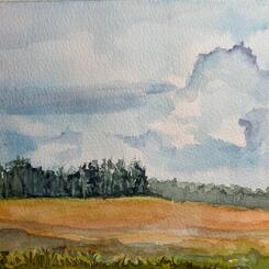  Country Field landscape 5x7