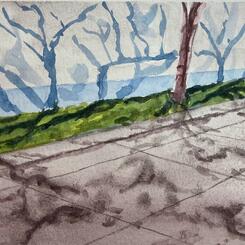 Shadows at the Museum 5x8