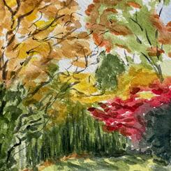  Stephanie's Backyard