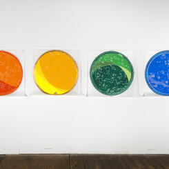 Renaming the Constellations, 2016