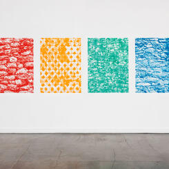 Walls of the Yucatán, 2019