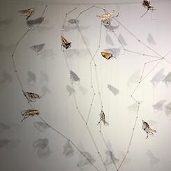 Migration Route - Western Hemisphere