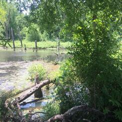 North Point State Park