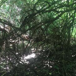 North Point State Park