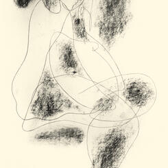 Liilii 20200204_0207_8946.jpg