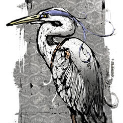Blue Heron 1