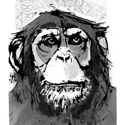 Chimp 1 (2019)