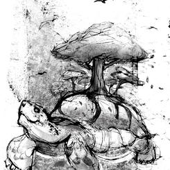 Turtle of the Land (2019)