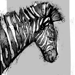 Zebra 1 (2019)