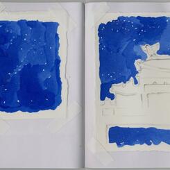 Chicken Starry Night