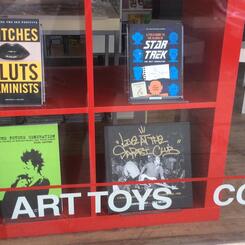 The Future Generation: Zine-Book for Subculture Parents, Kids, Friends, and Others (green cover, lower left) in Atomic Books window. 