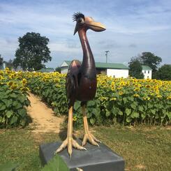 Lucybird in the Sunflower Field