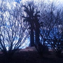 Pre stone install backside