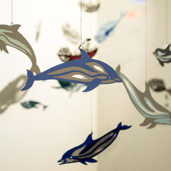 Zoe Friedman By Land or By Sea