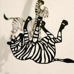 Zoe Friedman By Land or By Sea