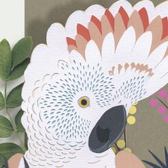 Cockatoo detail