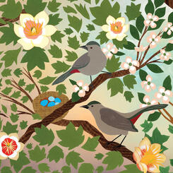 Zoe Friedman : Song of Summer