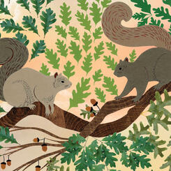 Zoe Friedman : Song of Summer