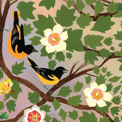 Zoe Friedman : Song of Summer