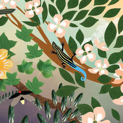 Zoe Friedman : Song of Summer