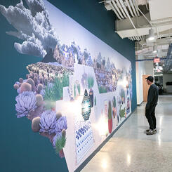 Zoe Friedman : Personal Mythology