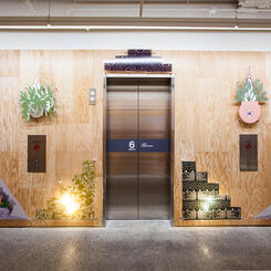 Zoe Friedman : Personal Mythology