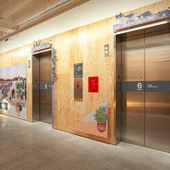 Zoe Friedman : Personal Mythology