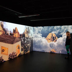 Idle Hour installation view