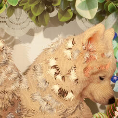 Zoe Friedman WildWood Dog detail