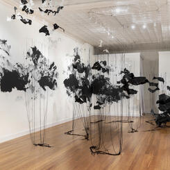 Unseen Patterns (Feb. 28, 2015, 11:41am, Chesapeake Bay- Aug. 24, 2016, 9:03 AM Georgia)