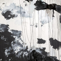 Unseen Patterns (Feb. 28, 2015, 11:41am, Chesapeake Bay- Aug. 24, 2016, 9:03 AM Georgia)